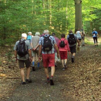 Wandern Salzgitter Höhenzug Harzklubzweigverein 